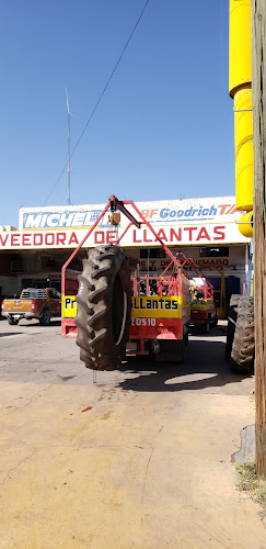 Proveedora De Llantas. Revisión Y Opiniones